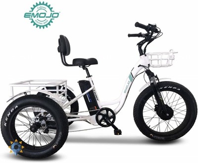 rechargeable bike for adults